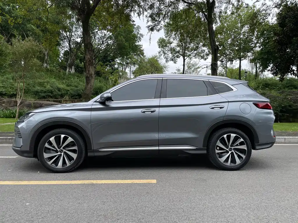 BYD PLUS New Energy — фото 4