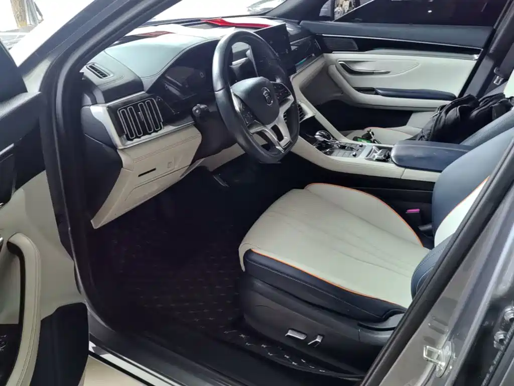 BYD PLUS New Energy — фото 15