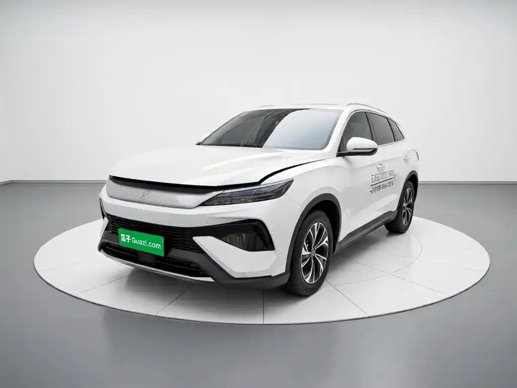 BYD Pro New Energy — фото 2