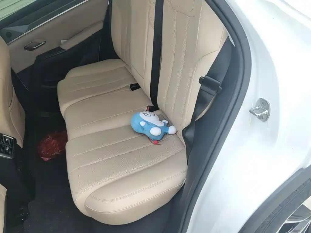 BYD Pro New Energy — фото 15