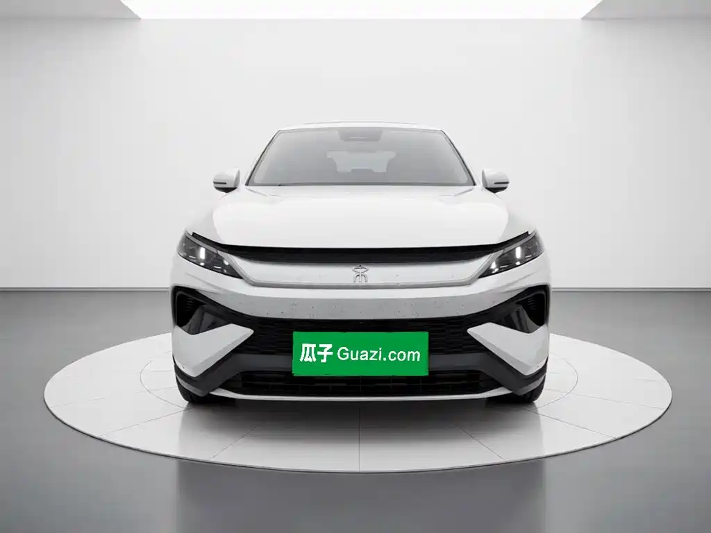 BYD Pro New Energy — фото 24