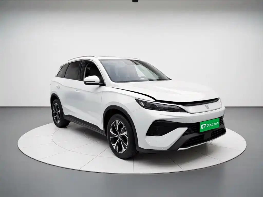 BYD Pro New Energy — фото 25
