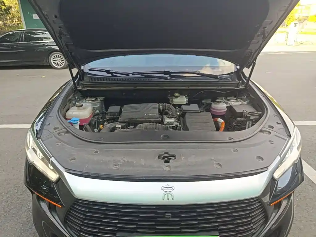 BYD Pro New Energy — фото 20