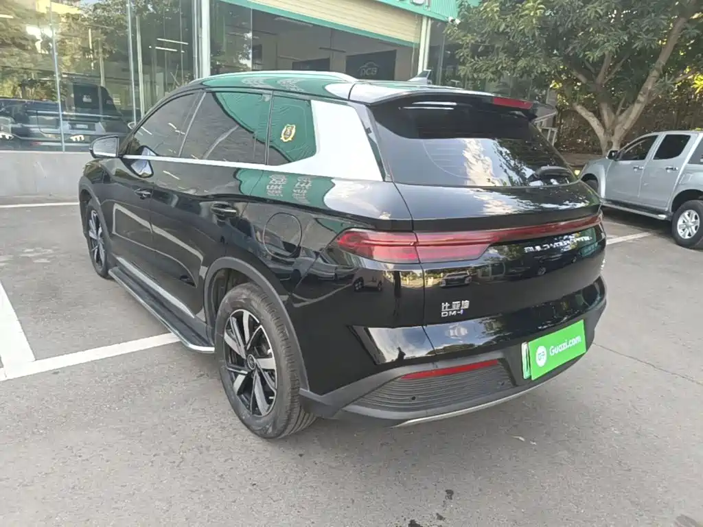 BYD Pro New Energy — фото 5