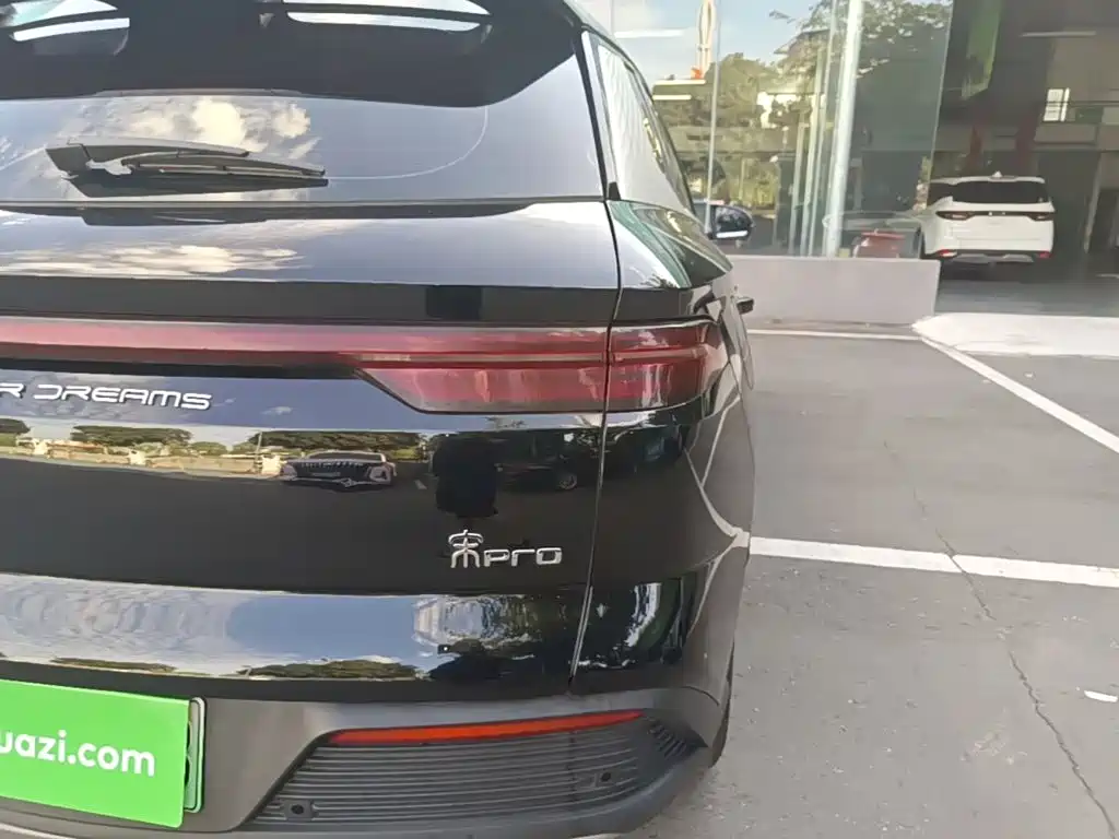 BYD Pro New Energy — фото 8