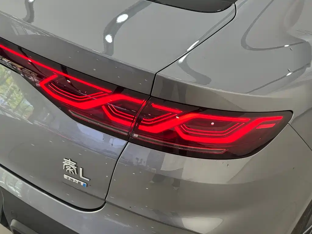 BYD Qin L — фото 6