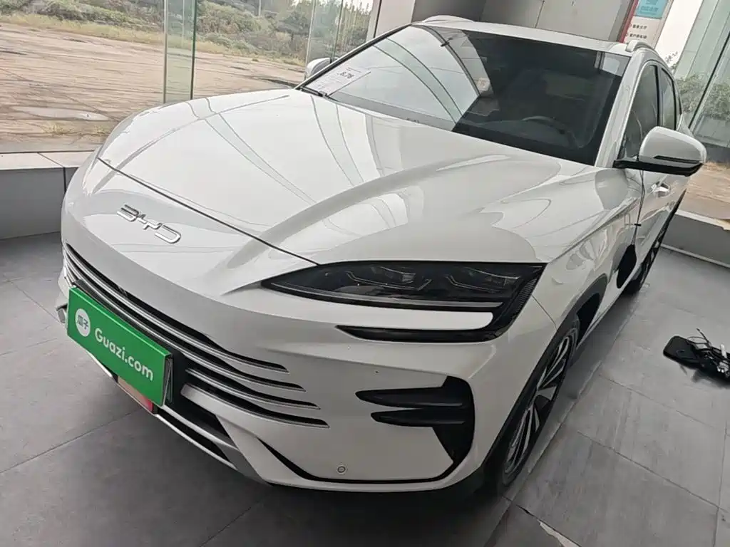 BYD PLUS New Energy — фото 2