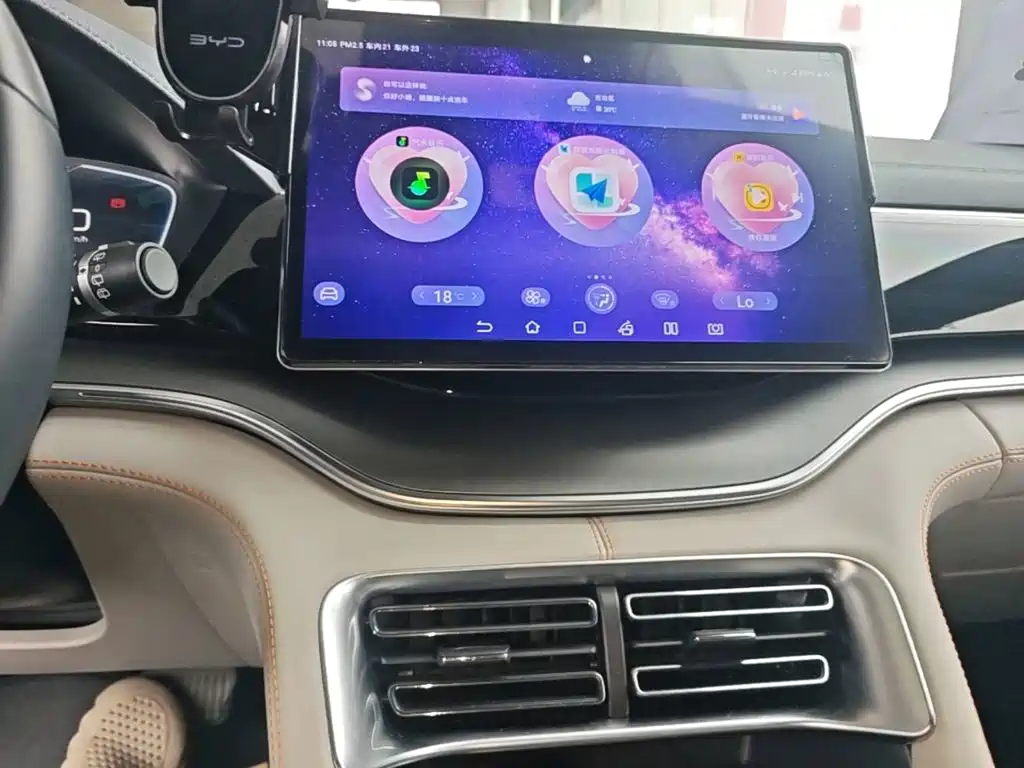 BYD PLUS New Energy — фото 13