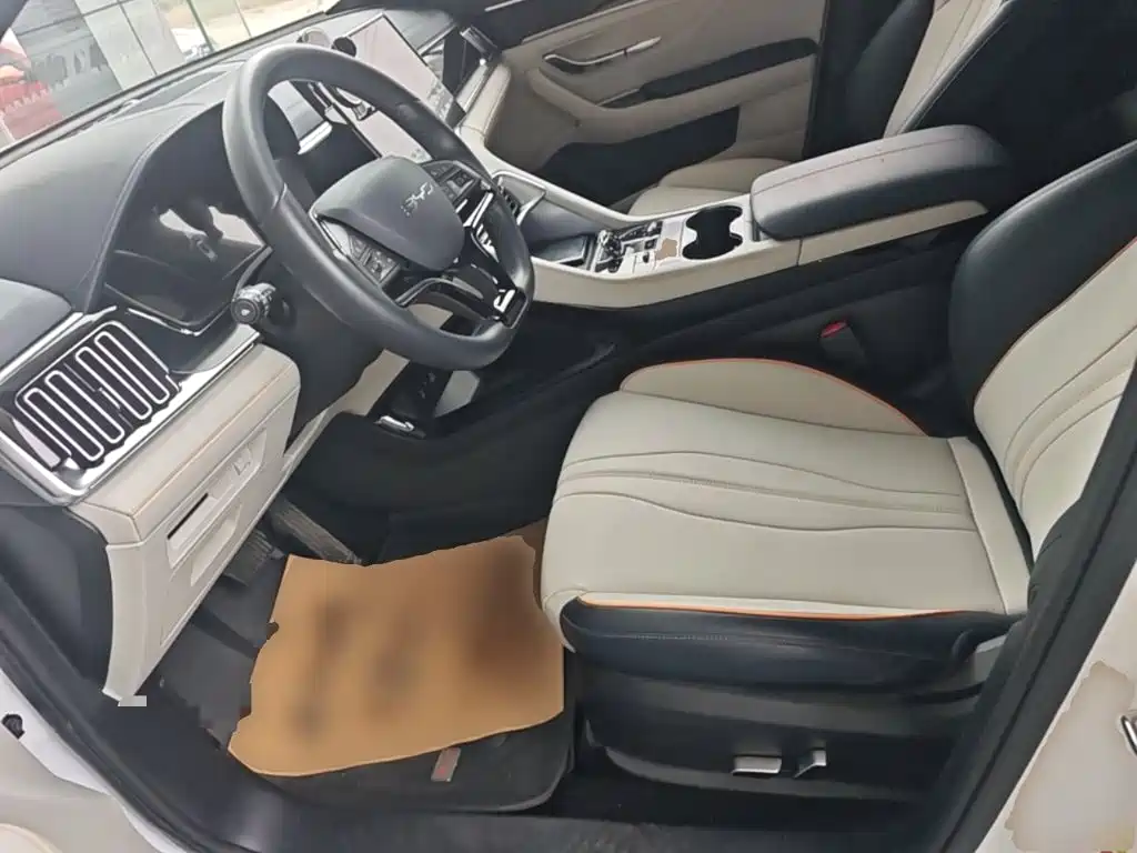 BYD PLUS New Energy — фото 15