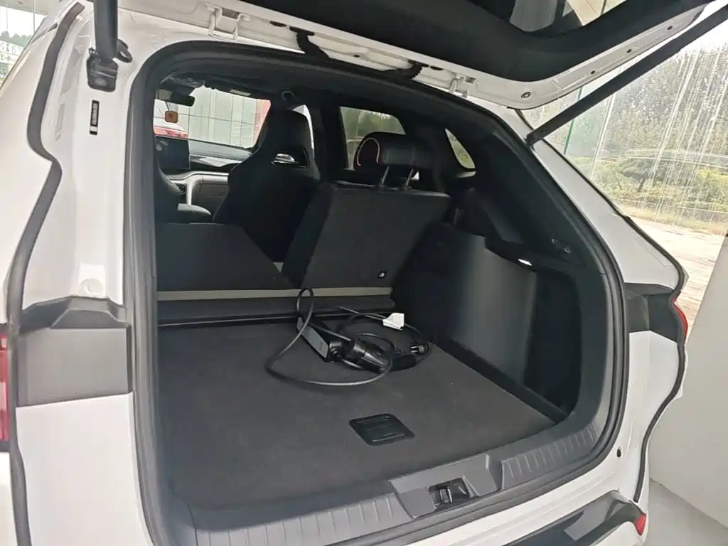 BYD PLUS New Energy — фото 19
