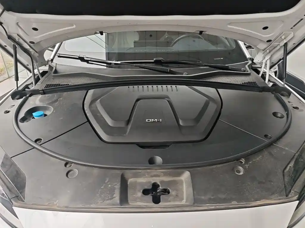 BYD PLUS New Energy — фото 20