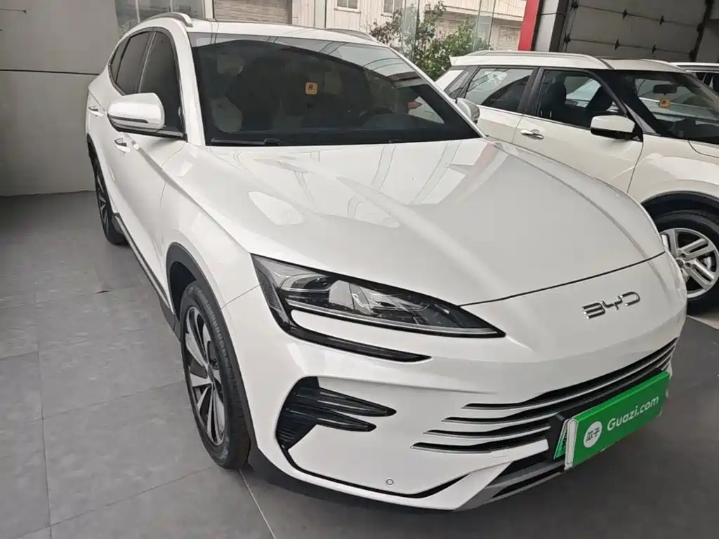 BYD PLUS New Energy — фото 4