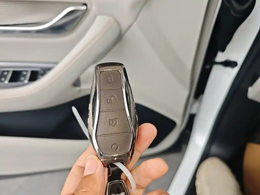 BYD PLUS New Energy — фото 9