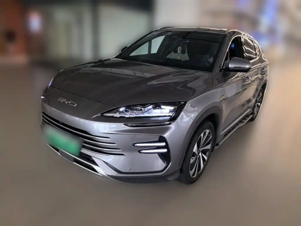 BYD PLUS New Energy — фото 3