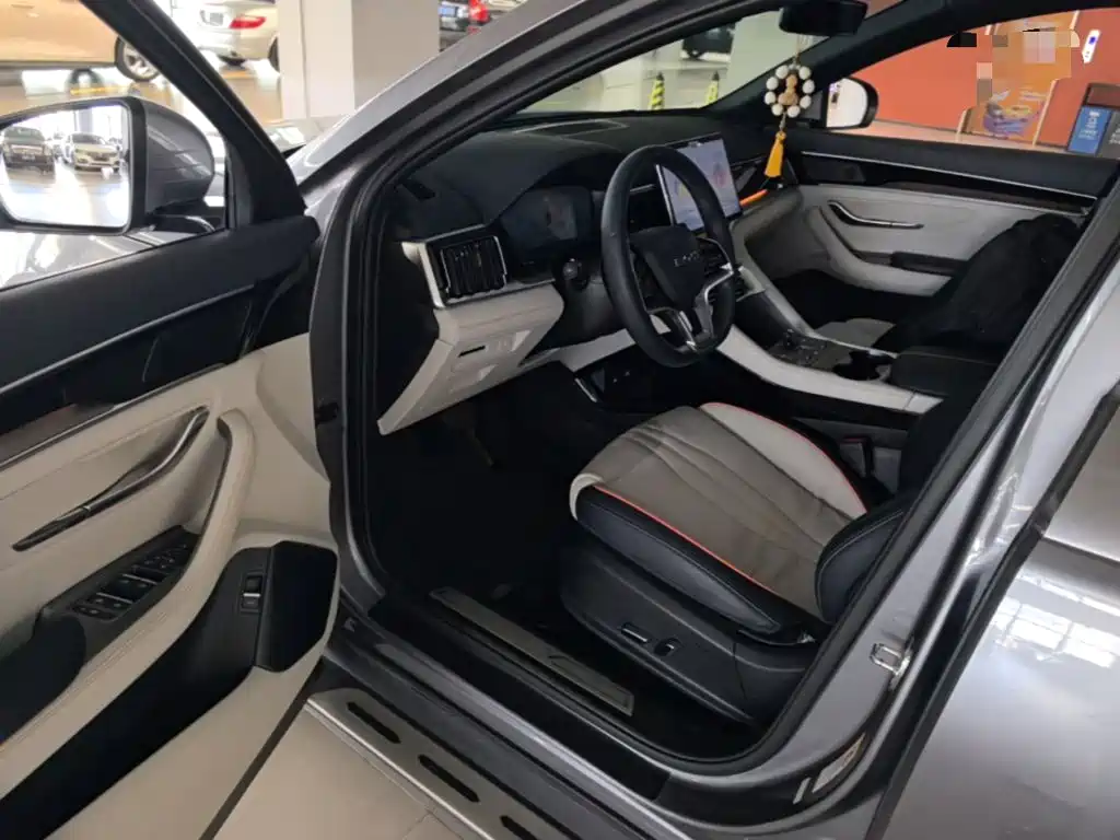BYD PLUS New Energy — фото 21