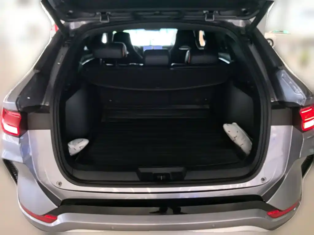 BYD PLUS New Energy — фото 24