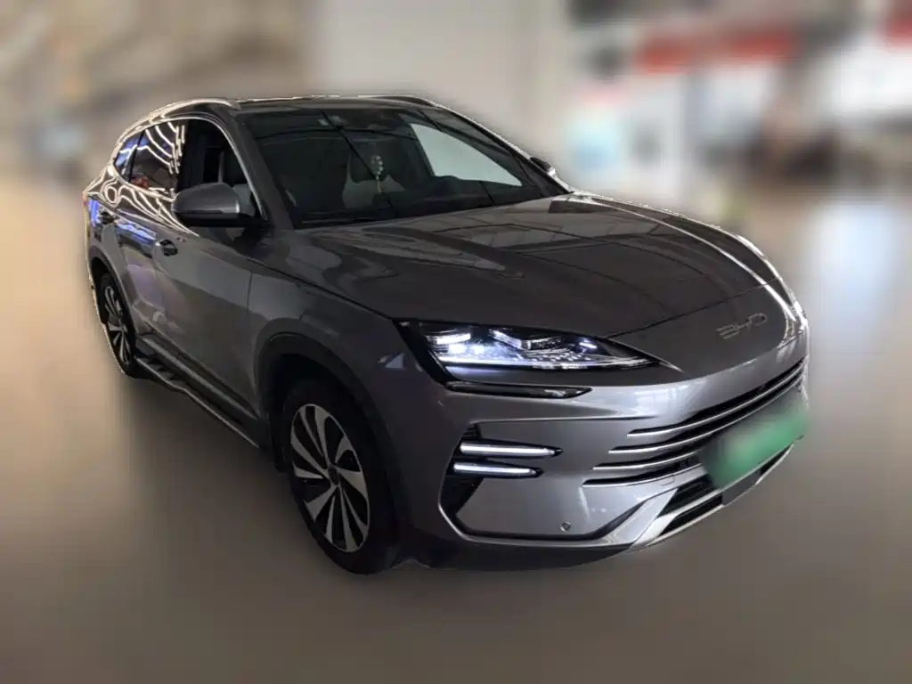 BYD PLUS New Energy — фото 6