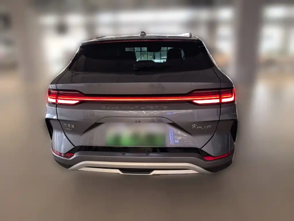 BYD PLUS New Energy — фото 8