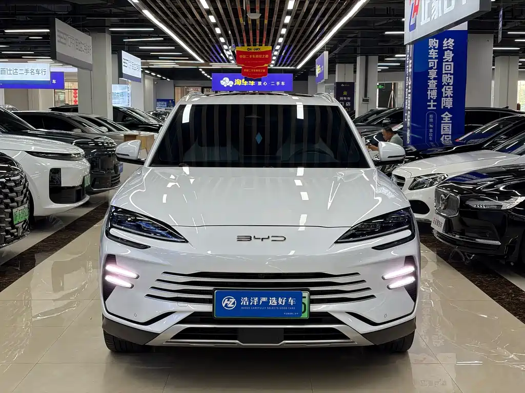 BYD PLUS New Energy — фото 2