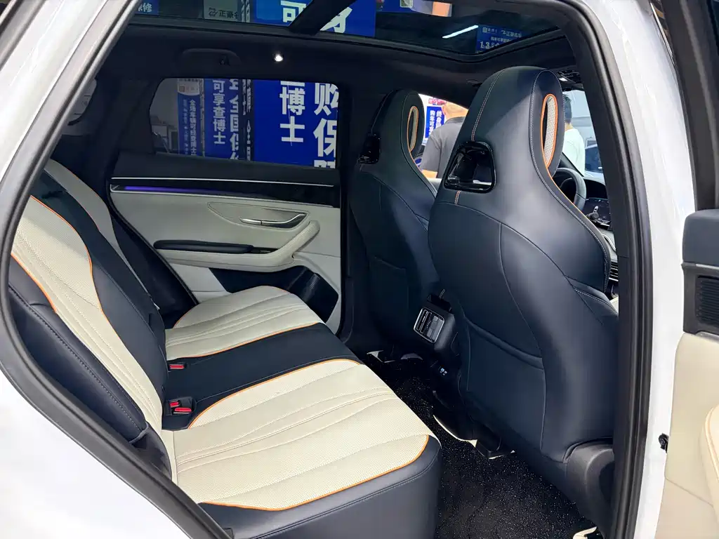 BYD PLUS New Energy — фото 11