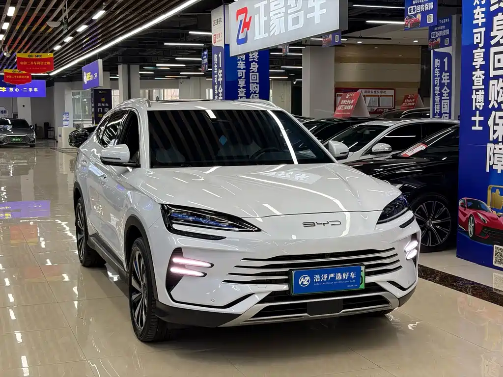 BYD PLUS New Energy — фото 4