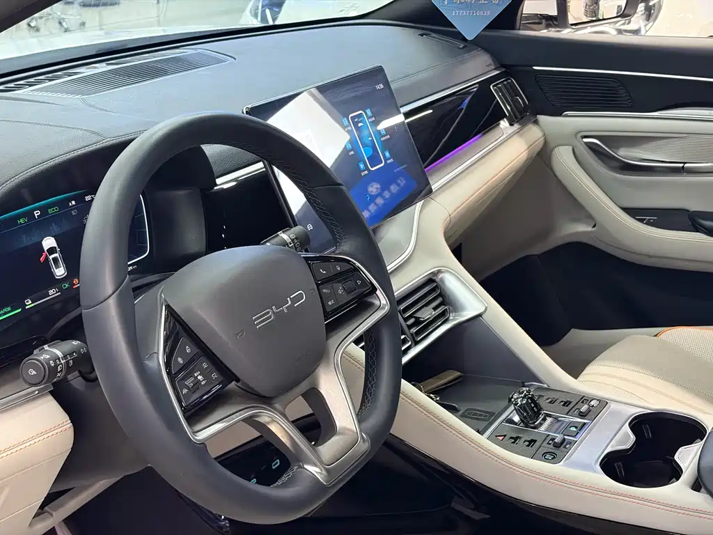 BYD PLUS New Energy — фото 5