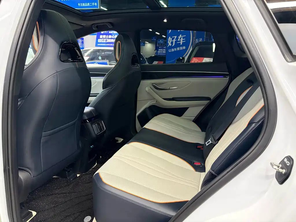 BYD PLUS New Energy — фото 6