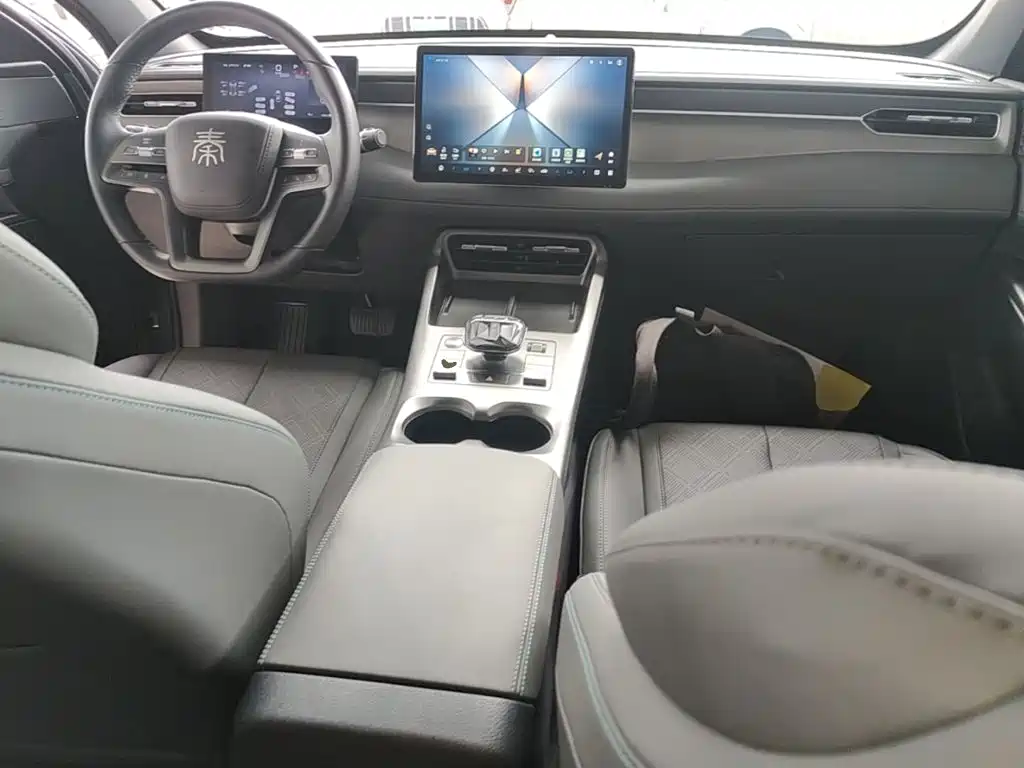 BYD Qin PLUS — фото 10