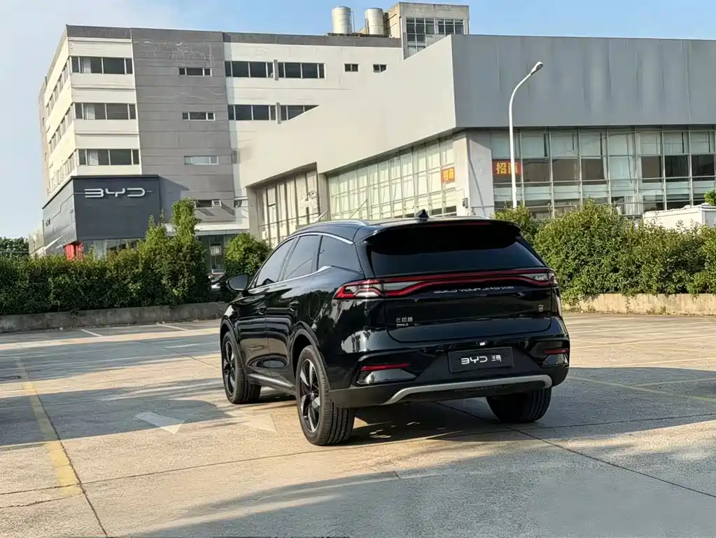 BYD Tang New Energy — фото 13