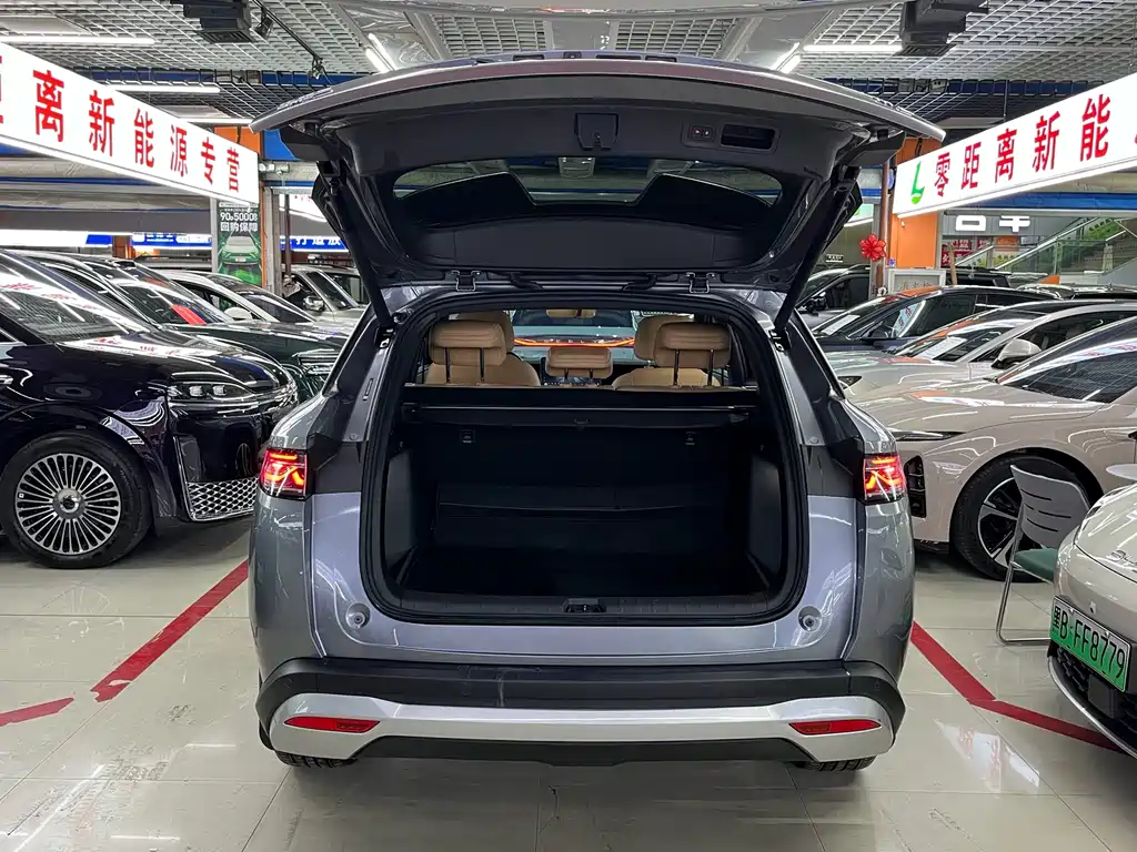 BYD L DM-i — фото 16