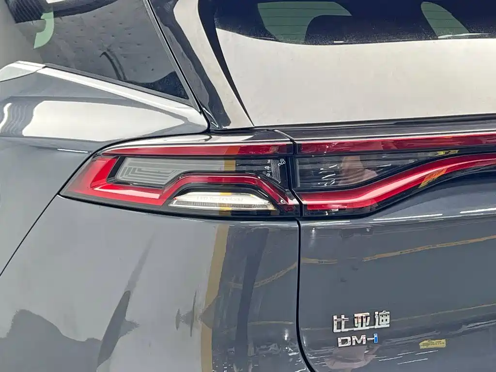 BYD Tang New Energy — фото 11
