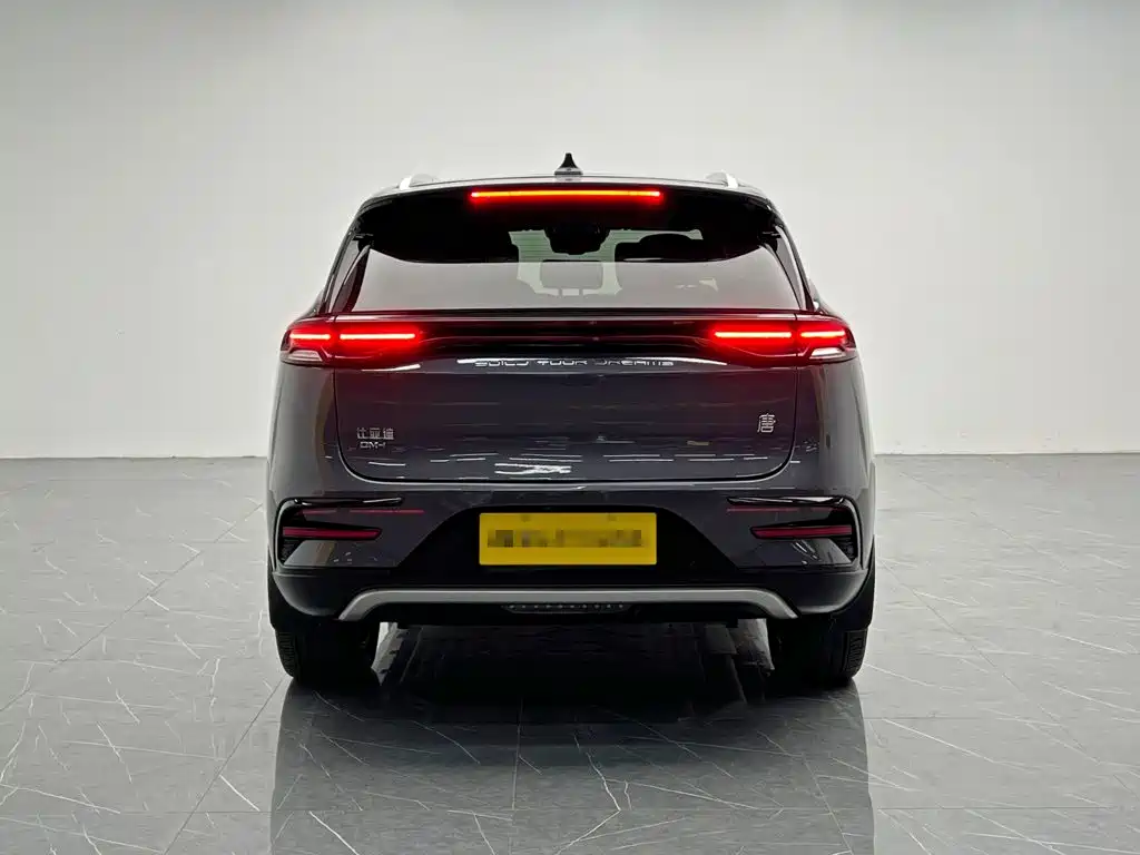 BYD Tang New Energy — фото 5