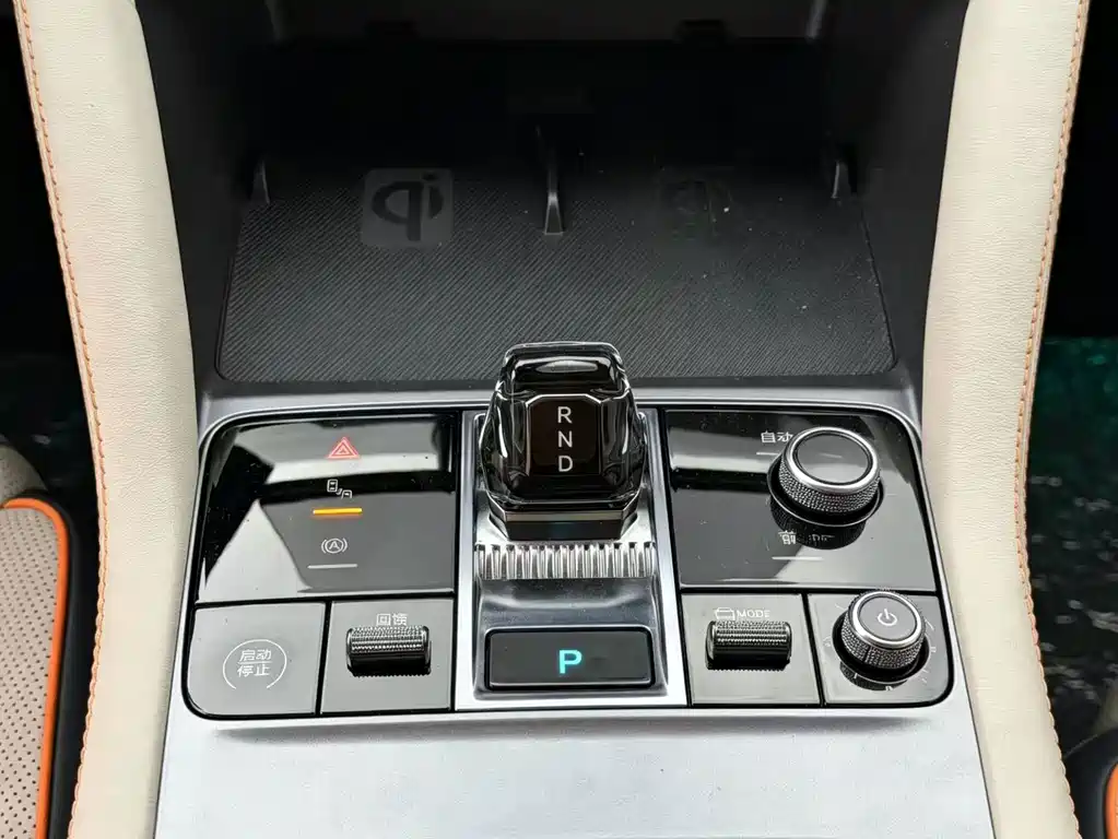 BYD PLUS New Energy — фото 11