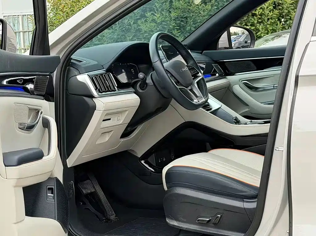BYD PLUS New Energy — фото 13