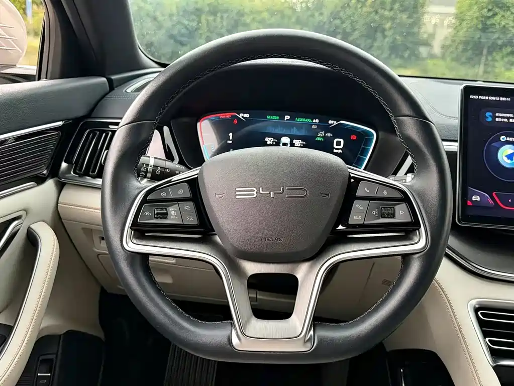 BYD PLUS New Energy — фото 15
