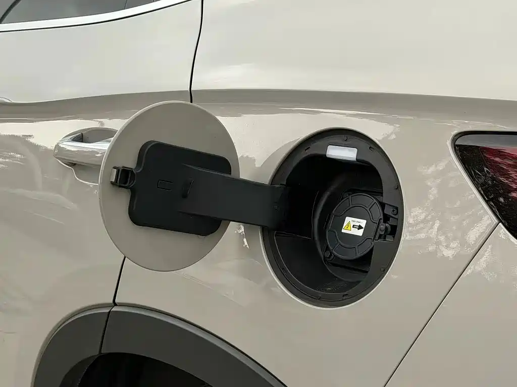 BYD PLUS New Energy — фото 17