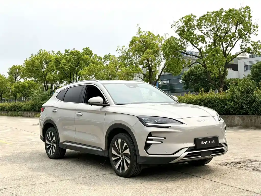 BYD PLUS New Energy — фото 3