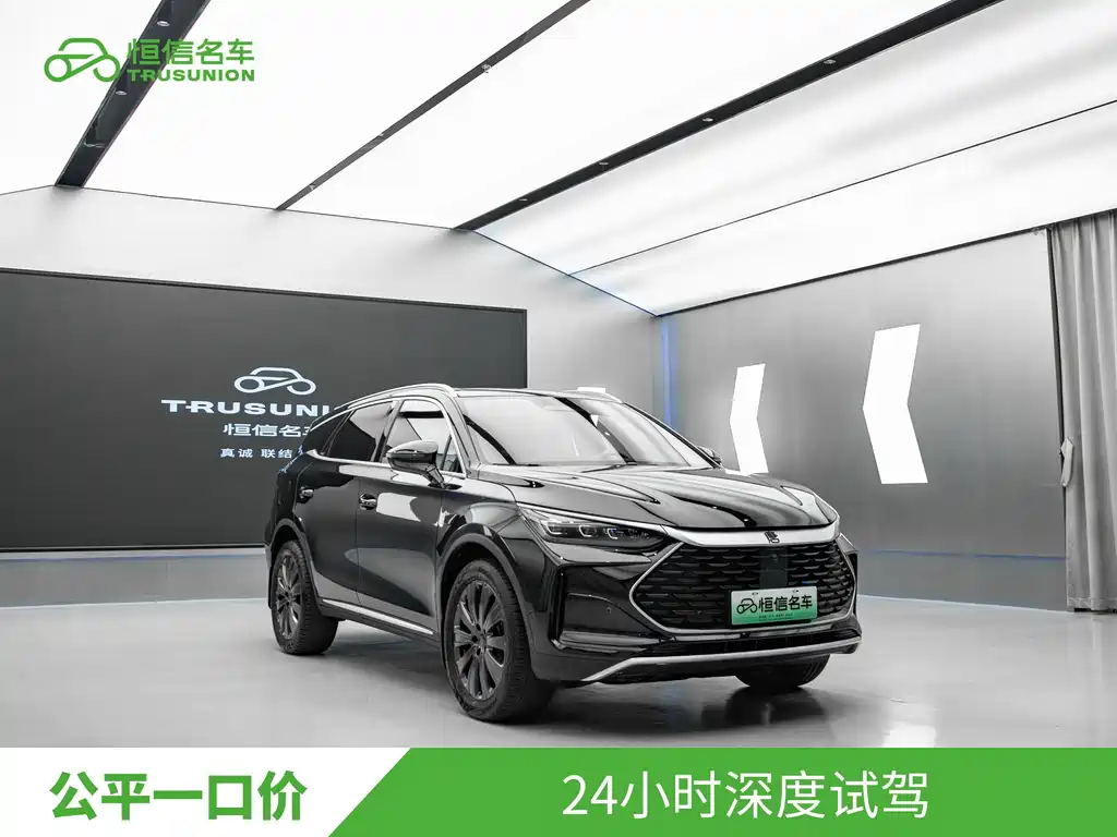 BYD Tang New Energy — фото 3