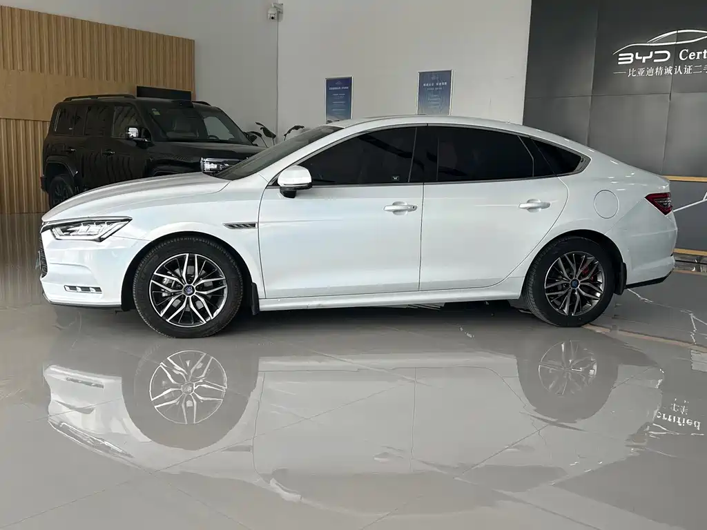 BYD Qin Pro NEV — фото 3