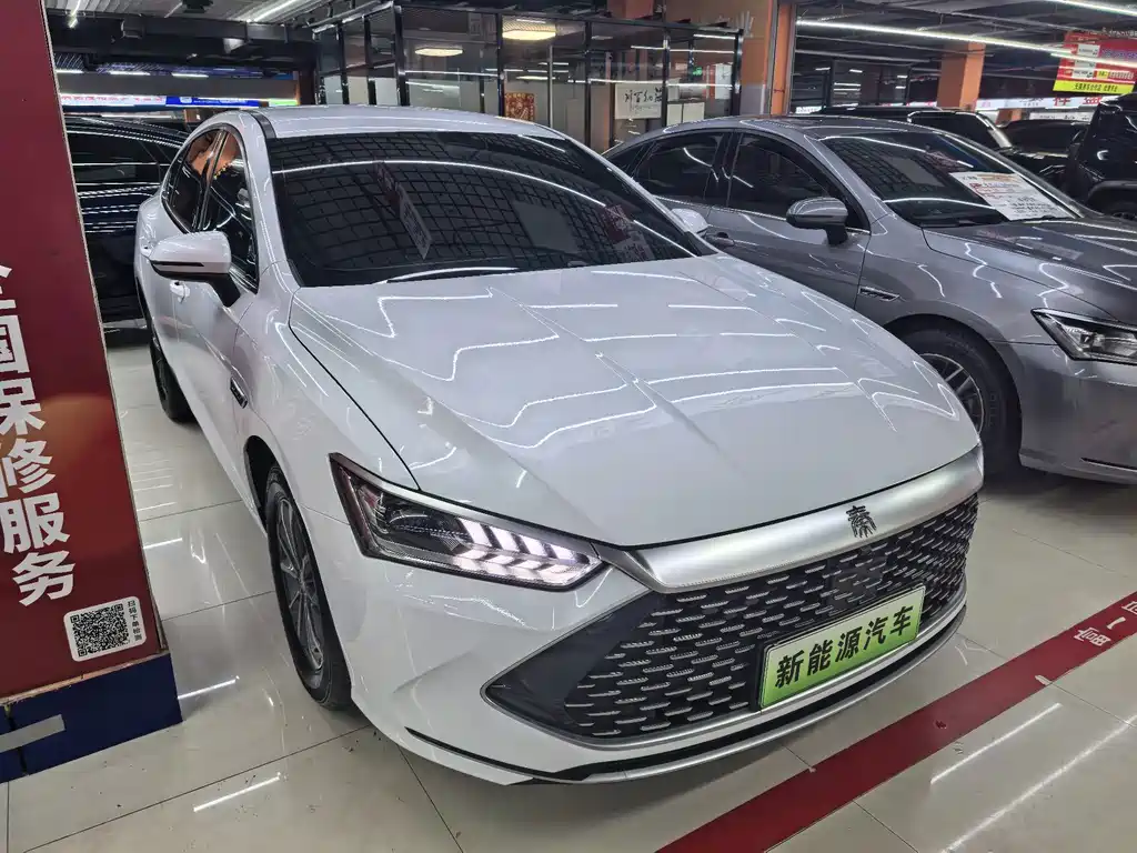 BYD Qin PLUS — фото 3