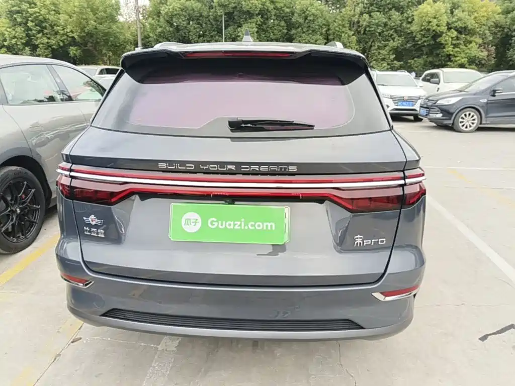 BYD Pro New Energy — фото 4