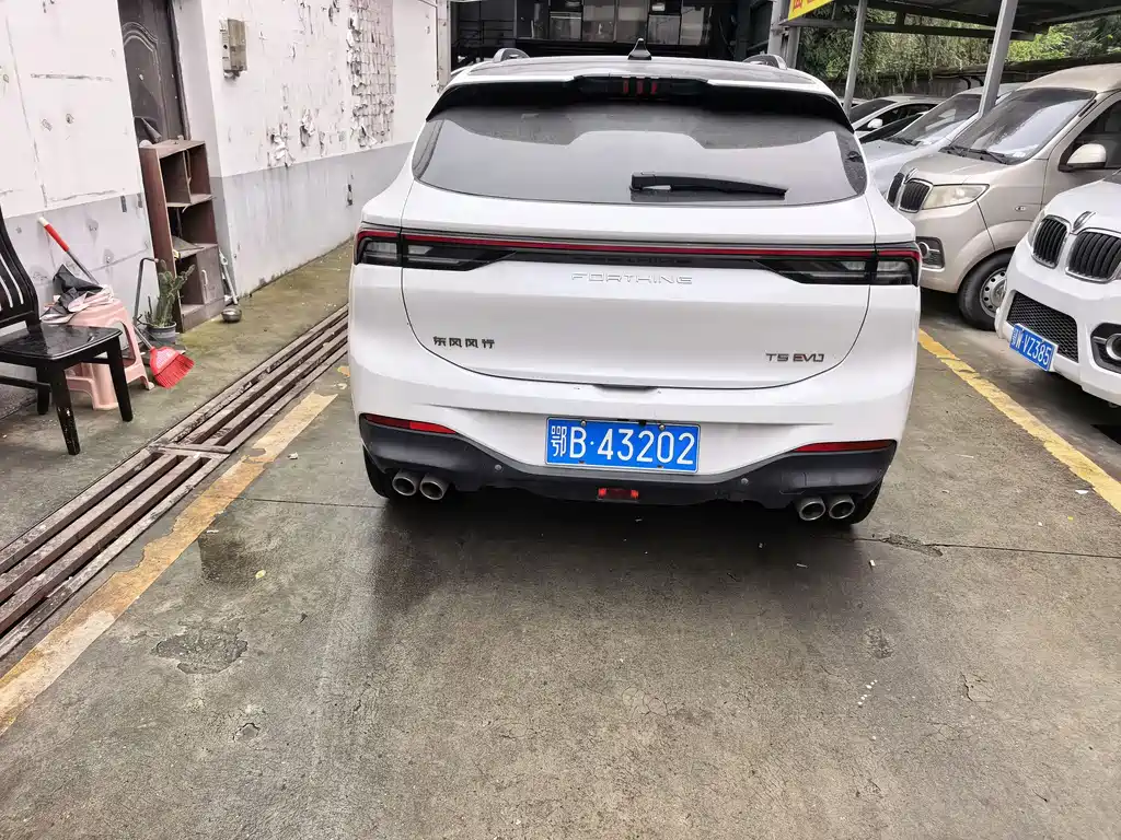Fengxing Fengxing T5 EVO — фото 10
