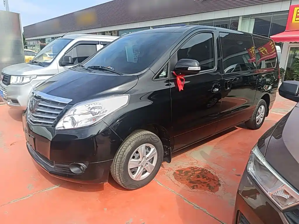 Fengxing Lingzhi PLUS