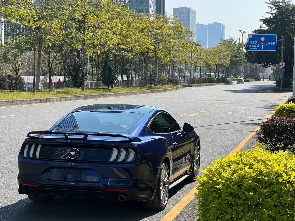 Ford Mustang — фото 17