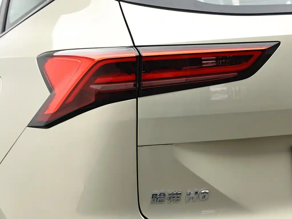 Haval H6 — фото 7
