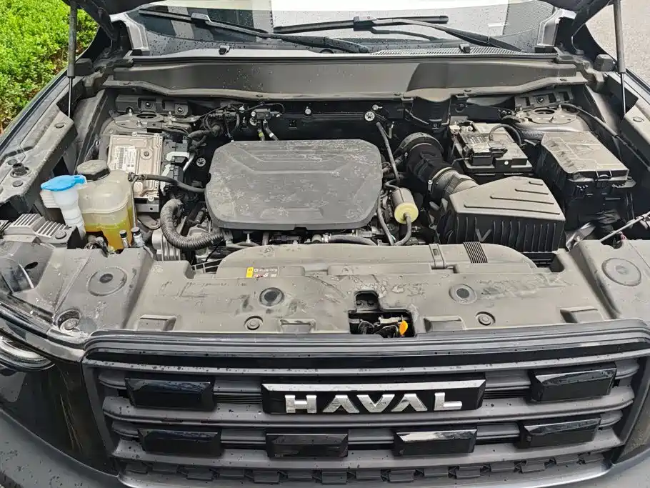 Haval Big Dog — фото 10