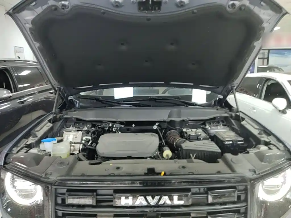 Haval Big Dog — фото 15