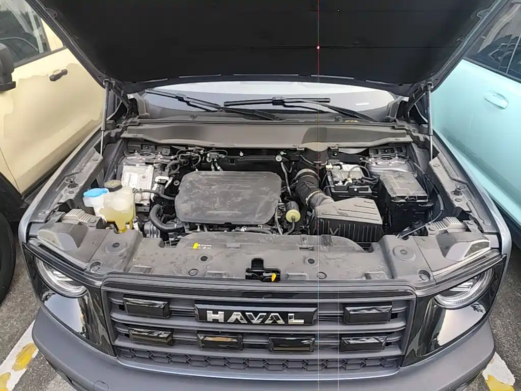 Haval Big Dog — фото 25