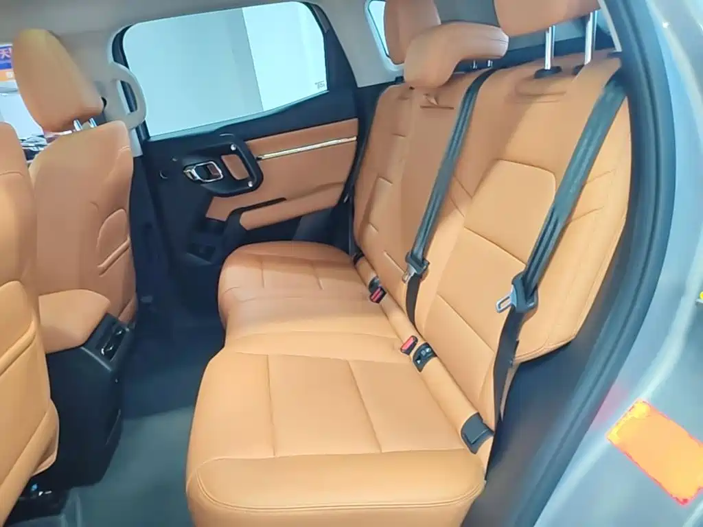 Haval Big Dog PLUS New Energy — фото 17