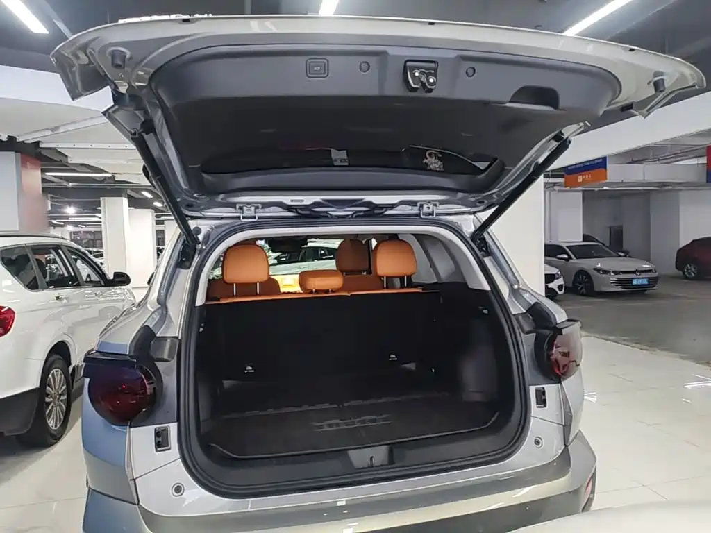 Haval Big Dog PLUS New Energy — фото 19